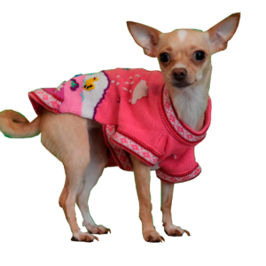 Dog Poncho